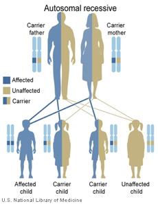 Wolfram Syndrome-Inheritance Pattern - The Snow Foundation