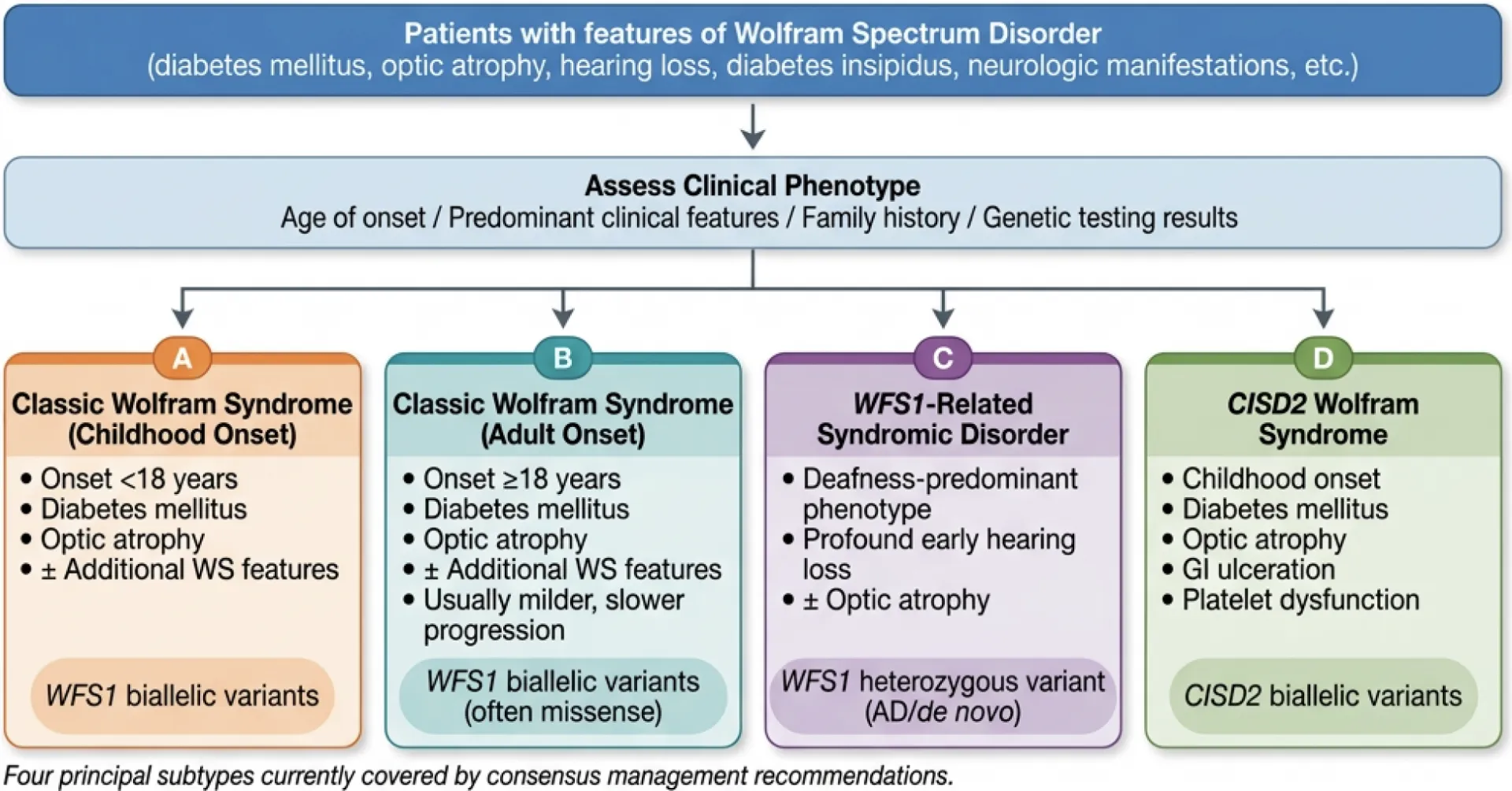 Diagnostic algorithm for Wolfram Spectrum Disorders, part 1